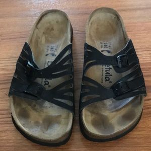 Betula Birkenstock’s